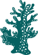 Marine and Coastal ecosystems