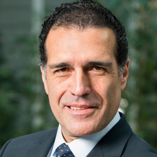 صحراء قطر تنبض بالحياة